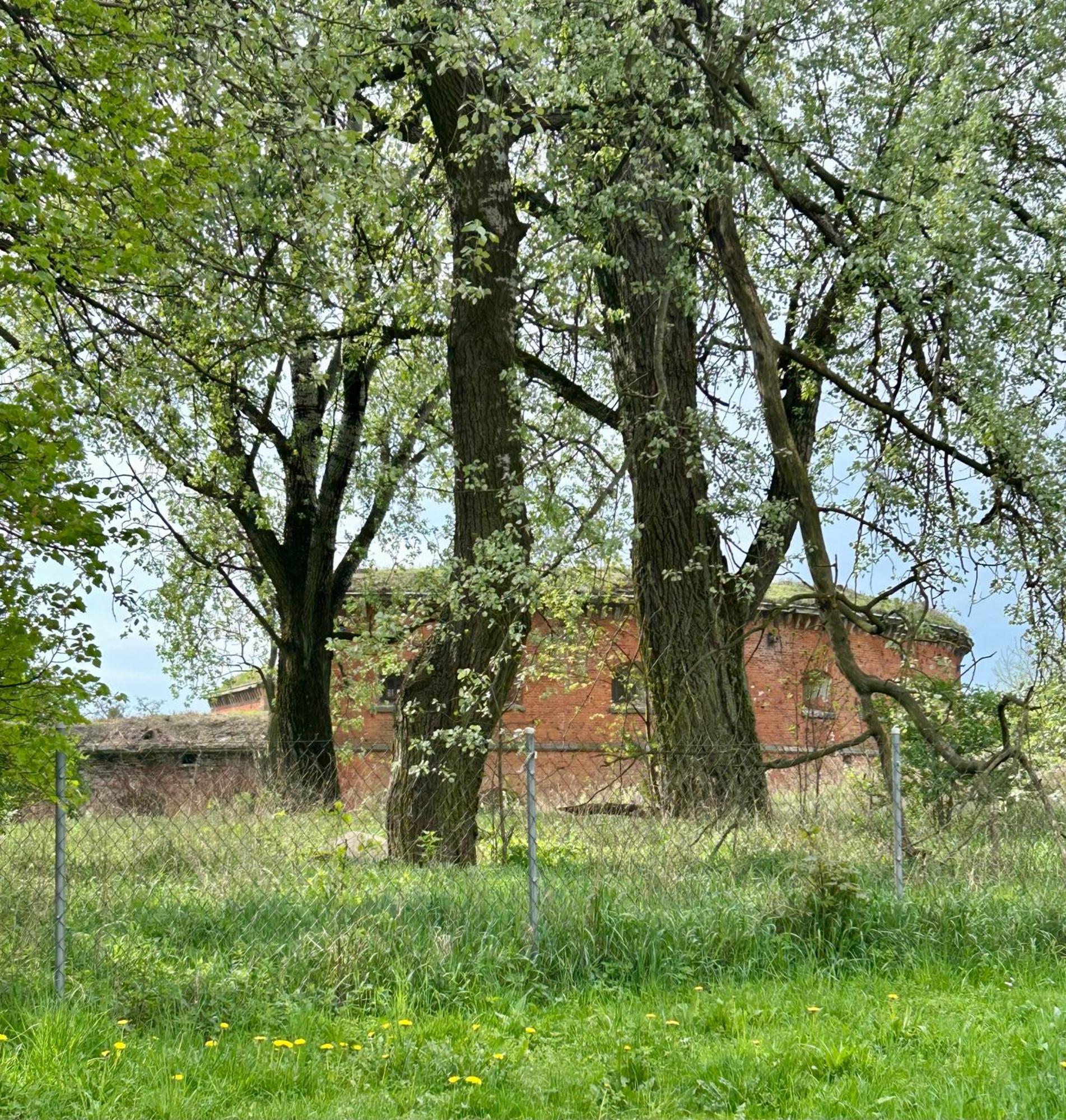 Studio Modlin Nowy Dwór Mazowiecki Exterior photo